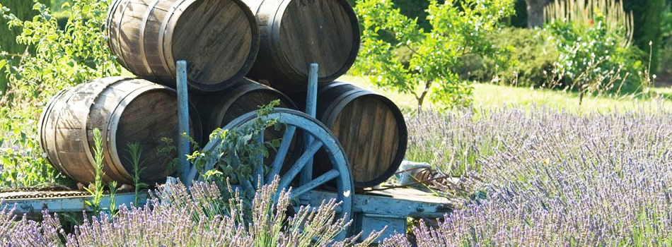 Route des Vins en voiture de collection avec chauffeur